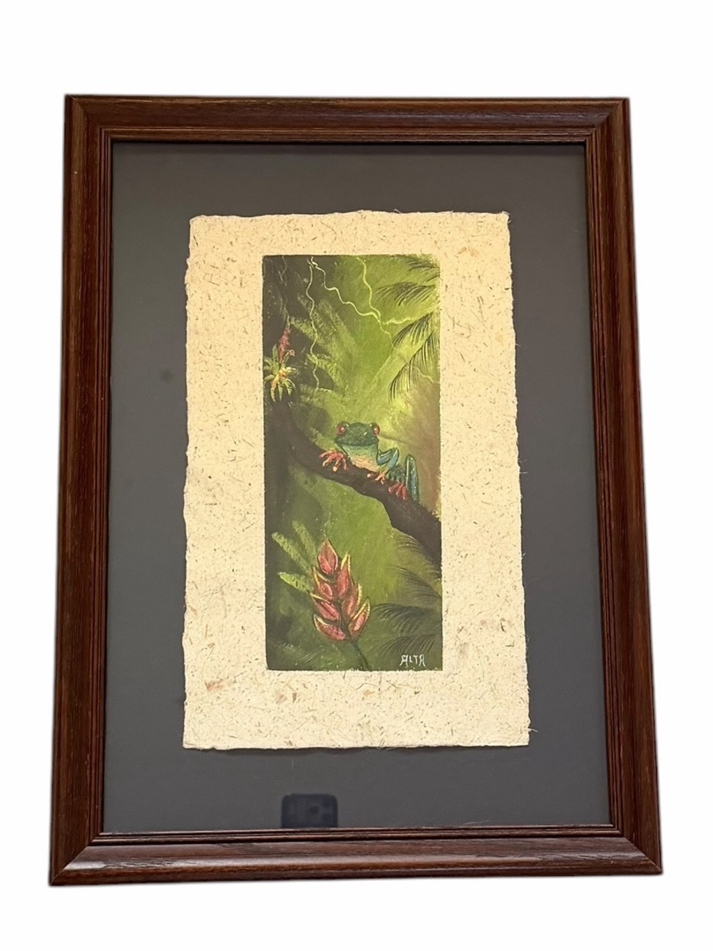 Signed Tropical Frog Framed & Matted Wall Art